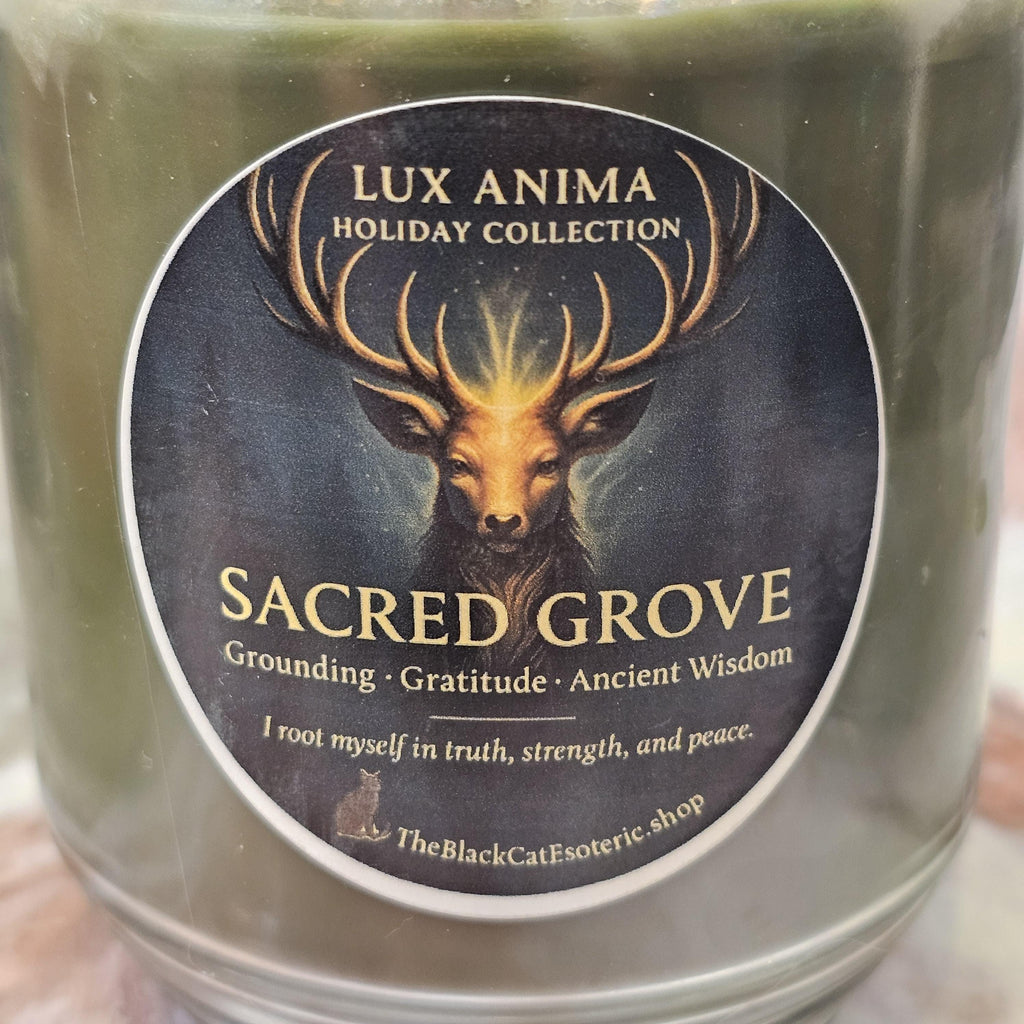 Lux Anima Intention Candle, Holiday Ritual Candle, Protection, Abundance, Peace