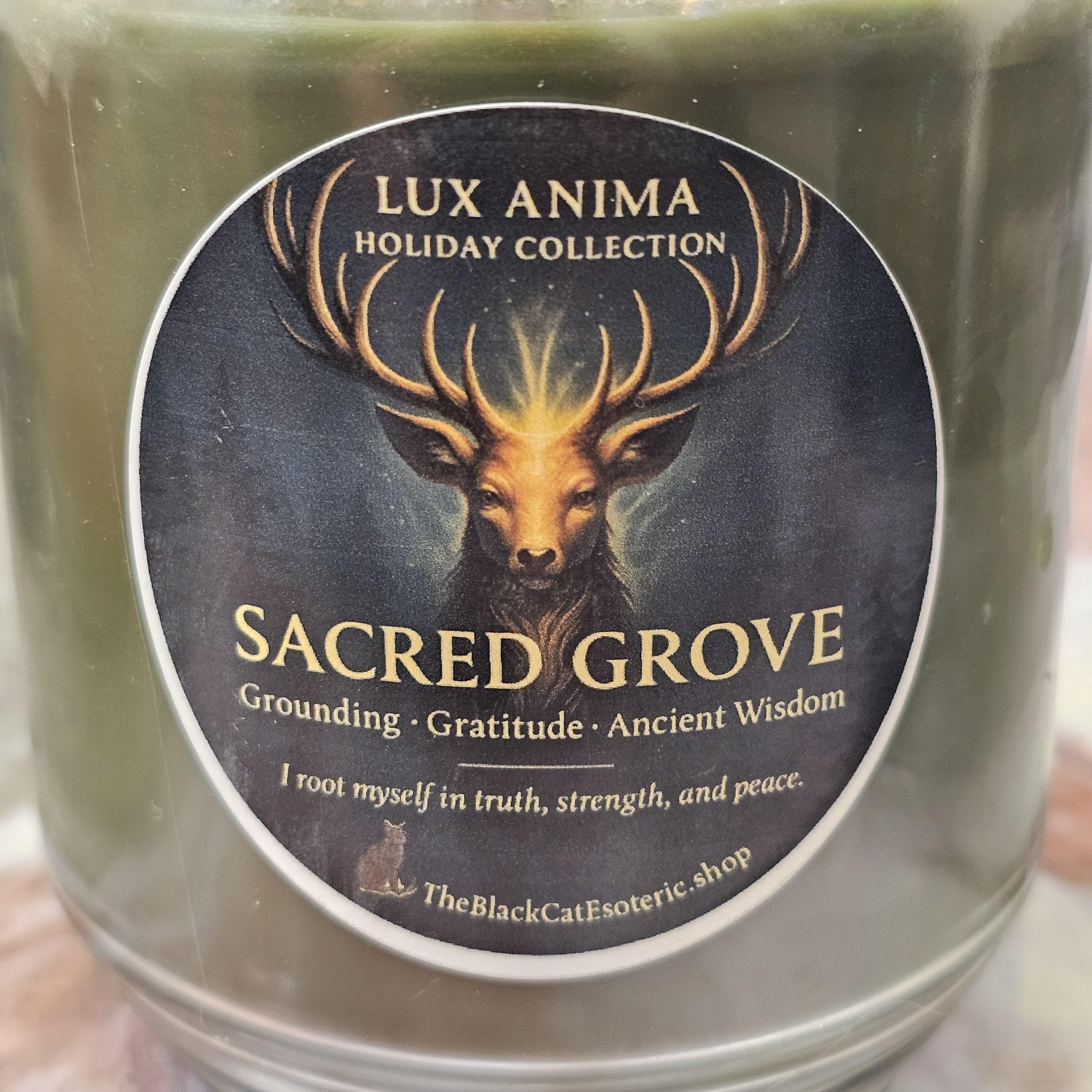 Lux Anima Intention Candle, Holiday Ritual Candle, Protection, Abundance, Peace