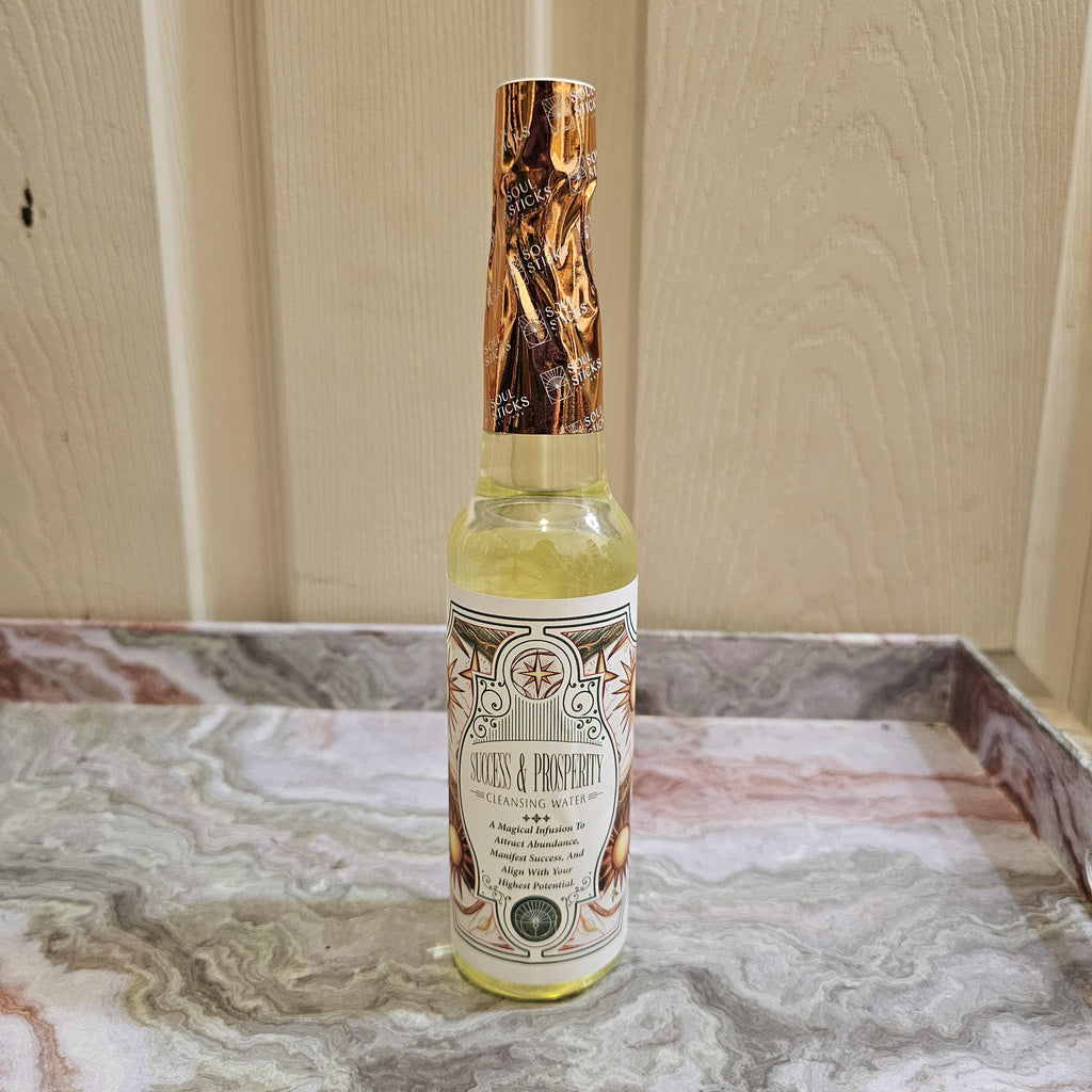 Success and Prosperity Cleansing Water Abundance Ritual Wash Money, Luck and Opportunity Cleanse Spiritual Floor and Aura Wash